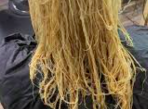Hair damaged from over lightening or bleaching.